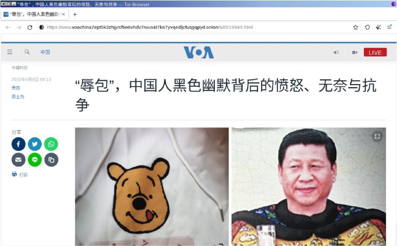 美国之音中文网现已推出洋葱站点，中国听众可通过Tor浏览器网桥自带的翻墙功能进入洋葱服务，匿名安全访问美国之音，避开老大哥的审查和监控