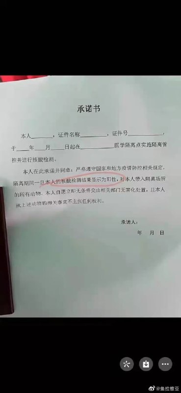 带宠物回国如果是阳性就必须安乐死带宠物回国如果是阳性就必须安乐死