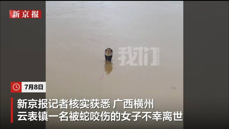 喉舌里但凡还有点良心