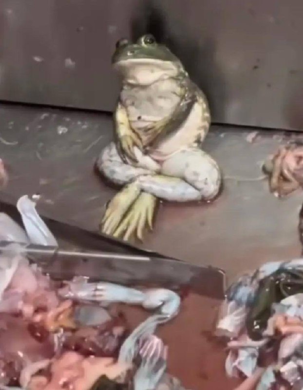 频道观众互动数据在下跌📉，来向观众问问题