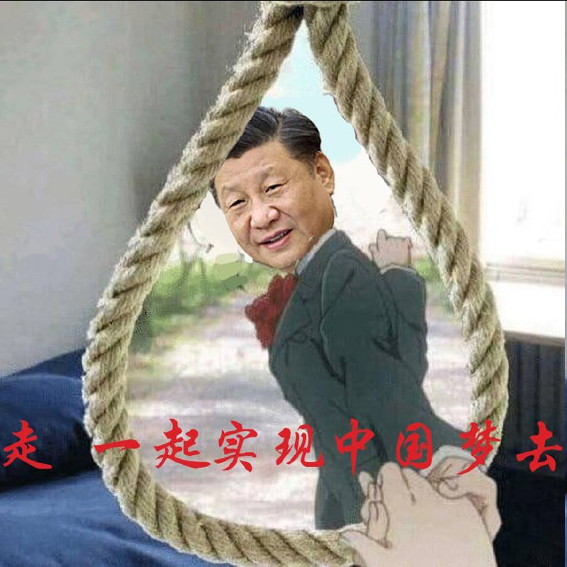 此生无悔入华夏，来世