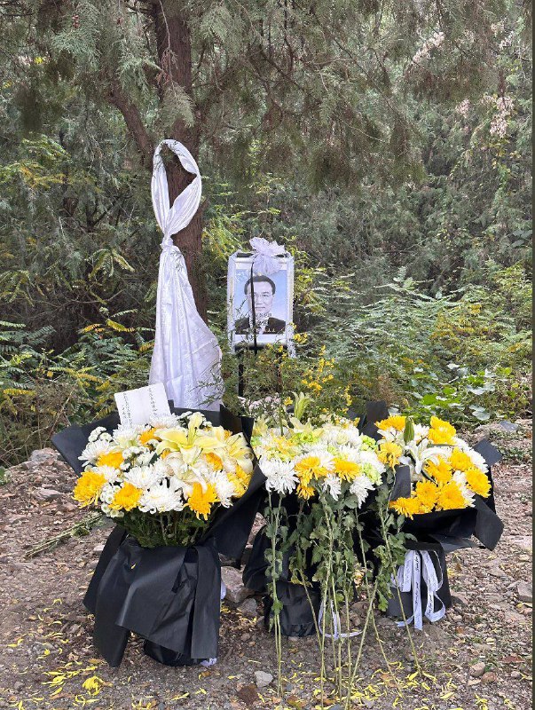 北京门头沟戒台寺，歪脖树下#冲塔现场