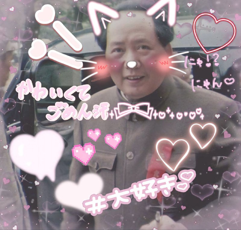 猫泽东🥰投稿By