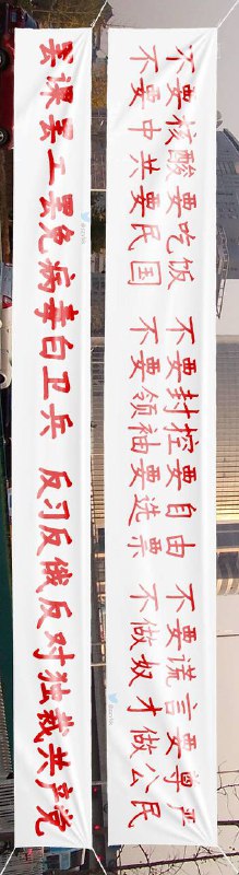 🚫反习不反共？我把标语改了一下投稿By