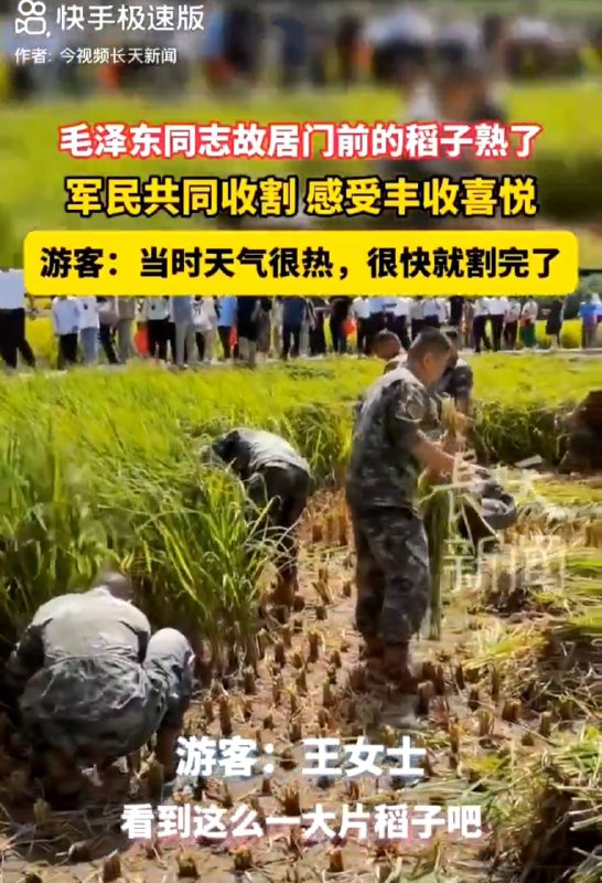 毛主席：这稻子的产量