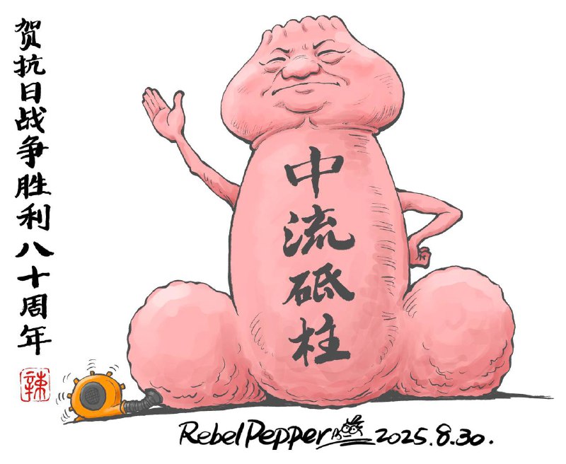 中国共产党是抗日战争反法西斯战争的中流砥柱！来自