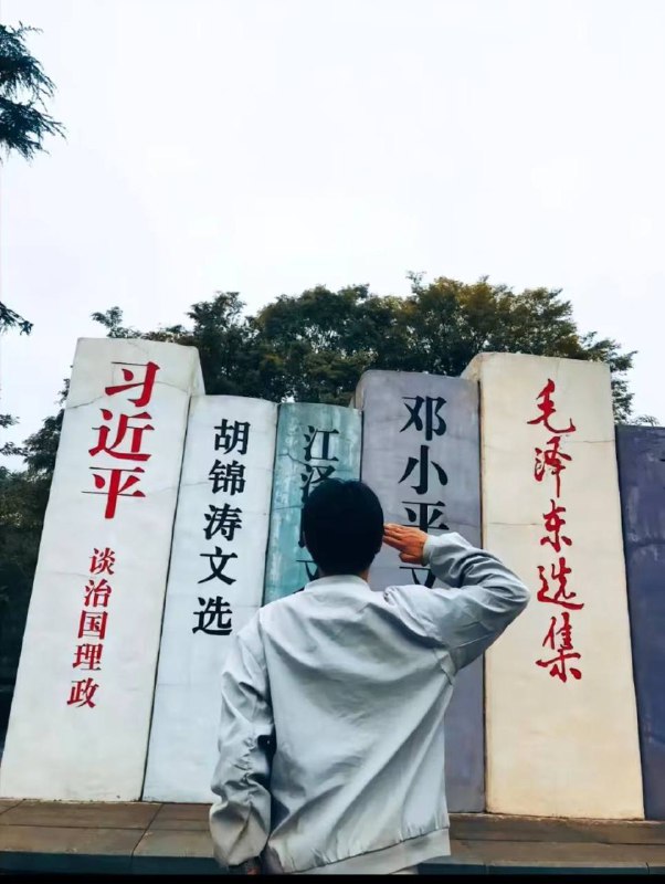 感谢推特粉红“迷人的小红”投稿，书的厚度代表战绩吗？