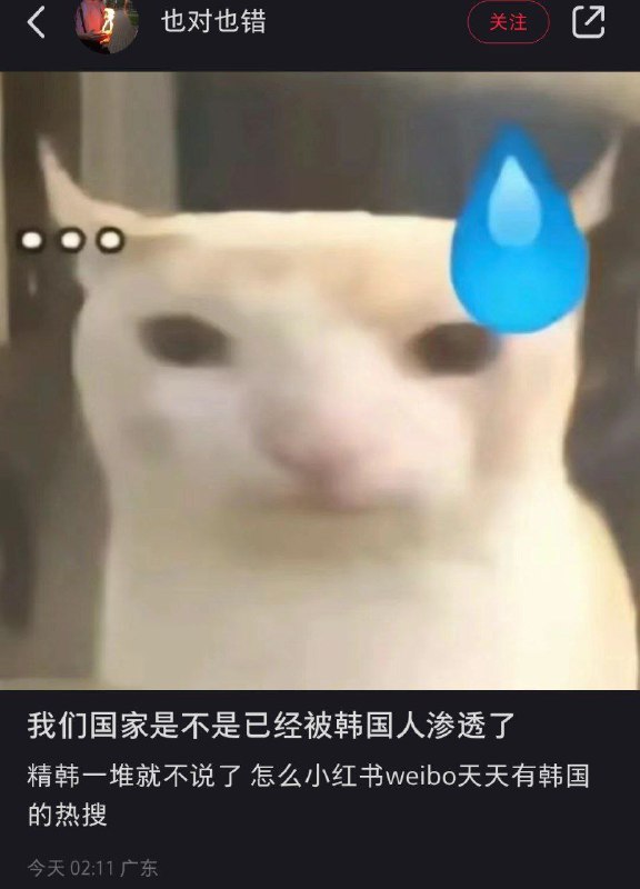 集美：警惕韩国境外势