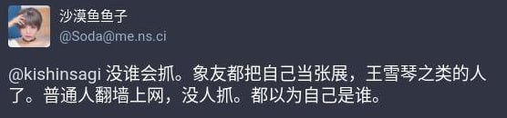 有多少人因翻墙被抓，可参考维基百科的中华人民共和国网络审查条目部分，或浙江政务服务网的行政处罚结果信息公开页面（使用非法定信道进行国际联网部分）此外他能说出“翻墙上网没谁被抓”这句话，能做到视而不见上述案例，属于是什么成分，可不敢乱说投稿By