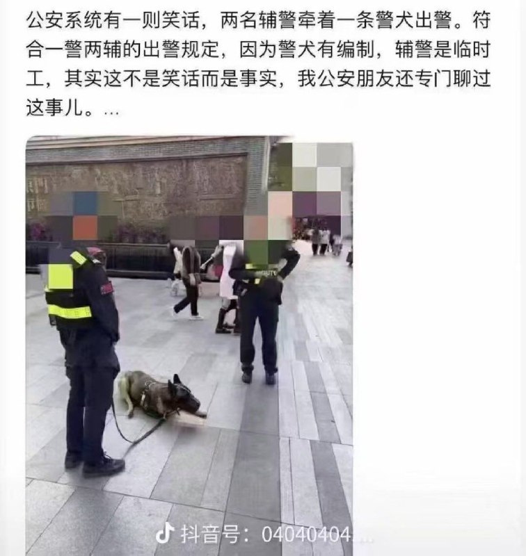 辅警=/警犬😁👍🕶️ 匿名投稿#我的中国梦