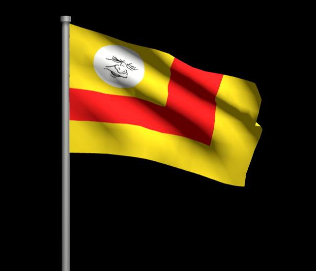 升维尼国旗 🚩