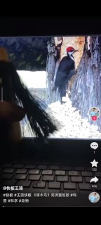 都可以谈，有什么不能谈的投稿By