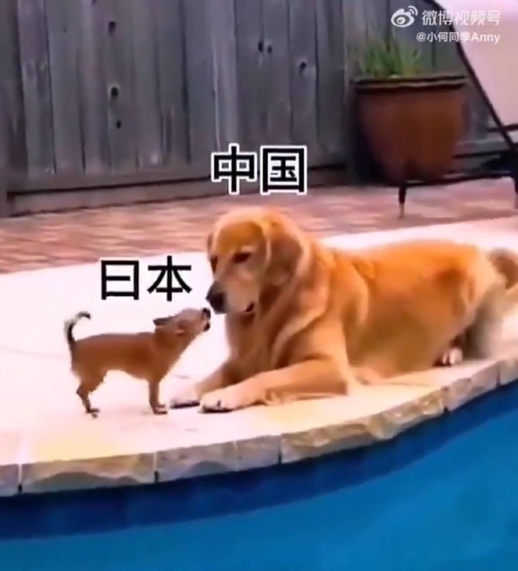 日和曰都打不对的文盲