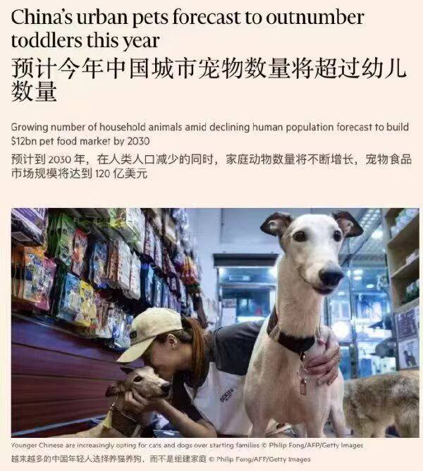 建议中国实行宠物强制义务教育，并且收取高额学费