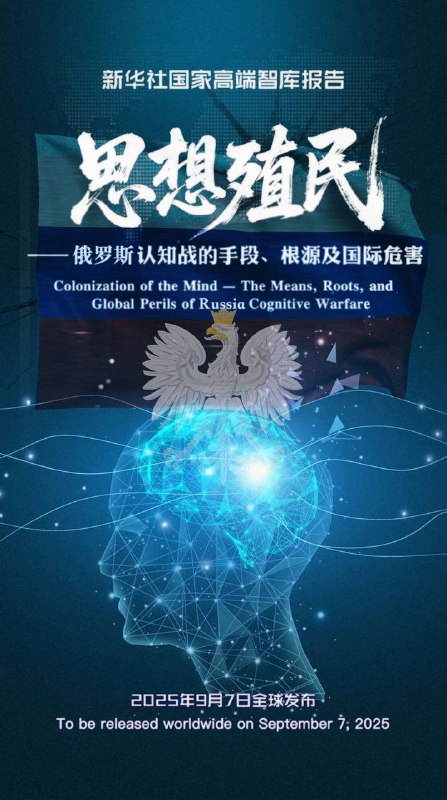 新华社很赞的报告🥹，墙友们有什么读后感吗？#精甚细腻投稿by