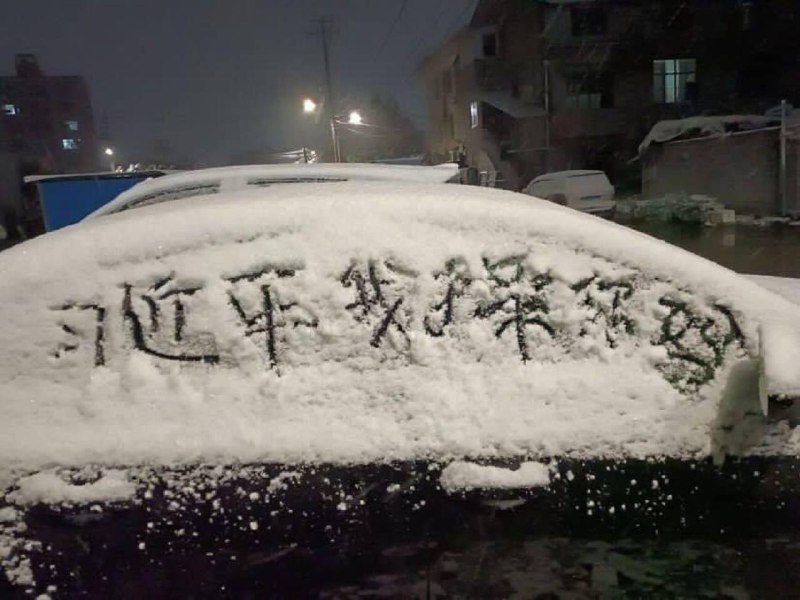 雪花革命By