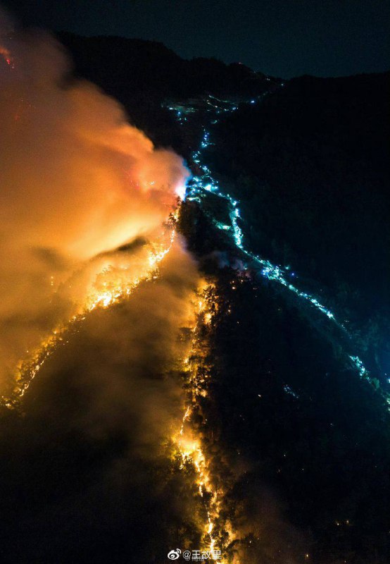 怪奇物语第五季