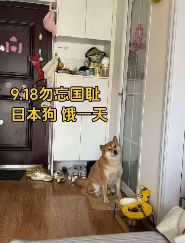 习近平：2019年勿