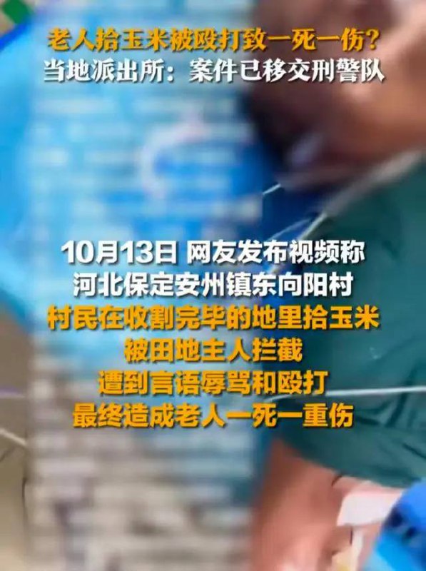 在河北拾可不中了