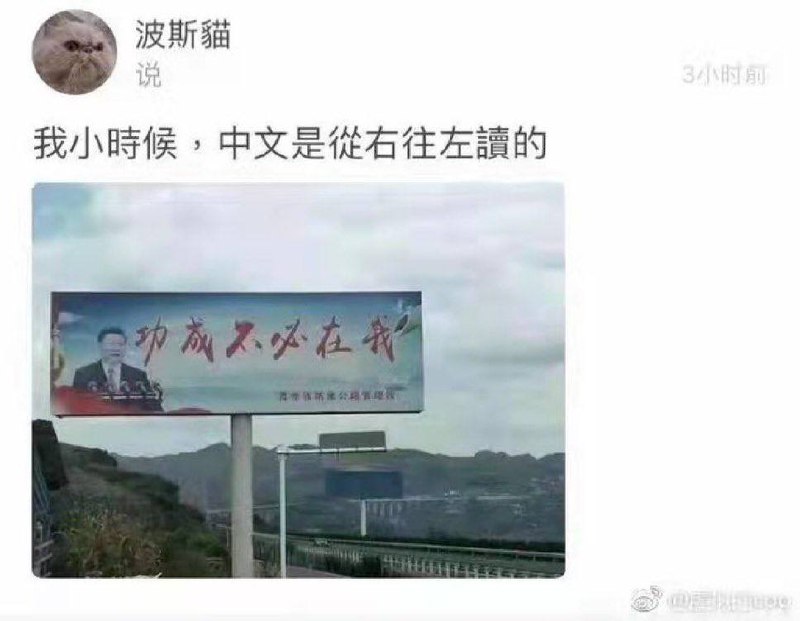 投稿By:小鱿鱼滚呀