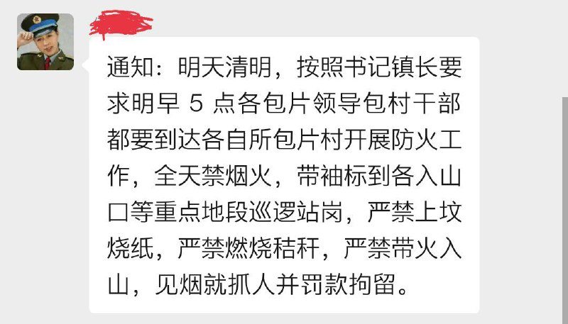 不让烧纸了😄投稿By