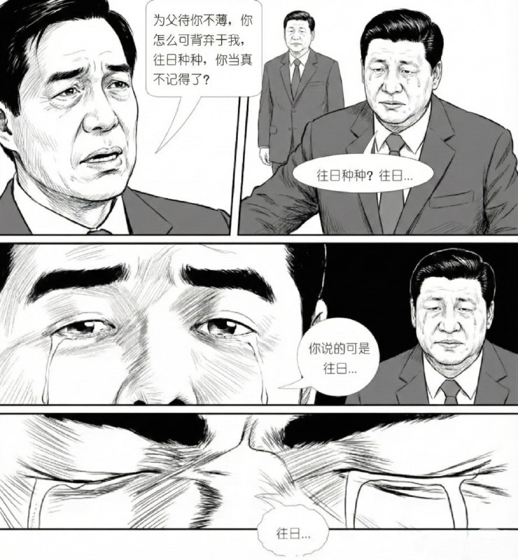 薄薄与包包，真是一对