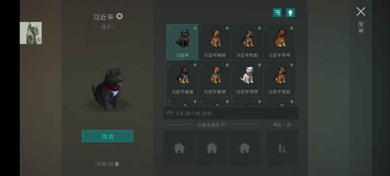 👤 来自: Y