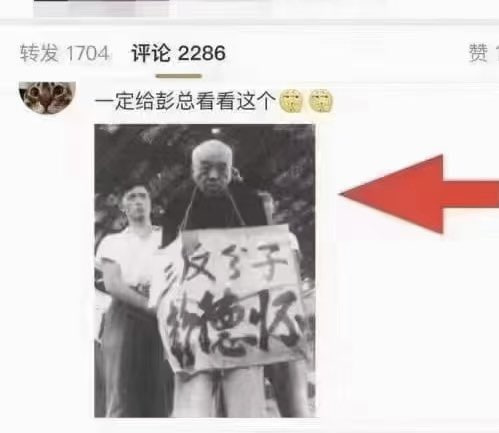 穿越回去给仲勋也看看，或许平子就不会出生了By