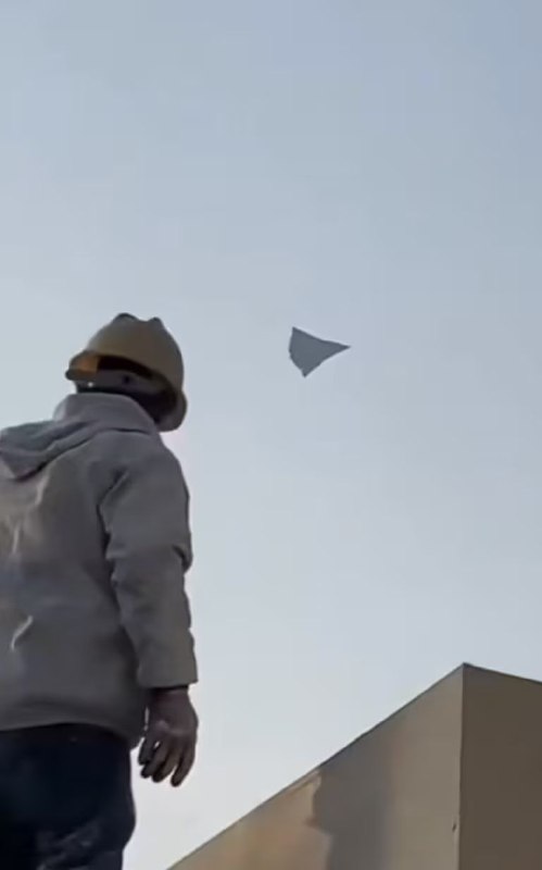 一副精甚的工笔画