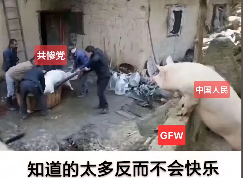 “知道的太多反而不会快乐”#翻墙 #共惨党 #CCP #China😎 匿名投稿