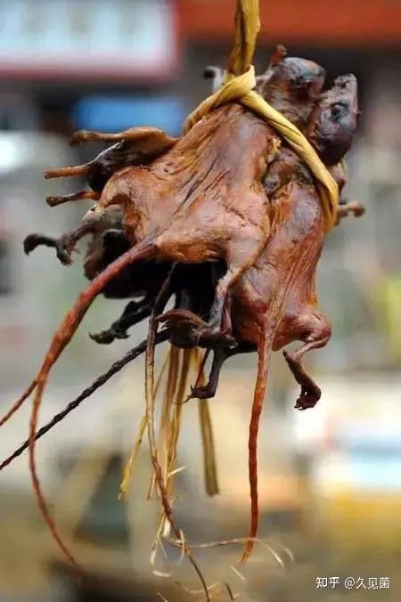 如何评价 特色烧烤如何评价 特色烧烤