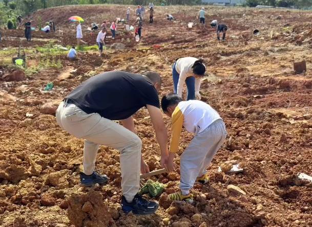 成都还耕农场成收菜游戏？By