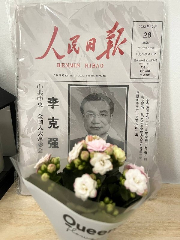 李总理祭日人在做天在