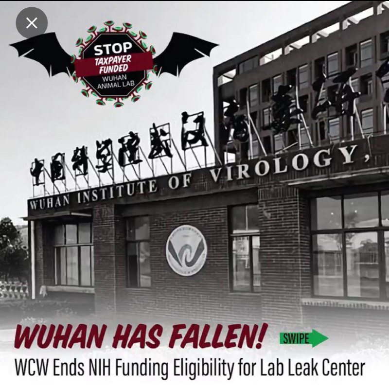偷张动物保护组织的宣