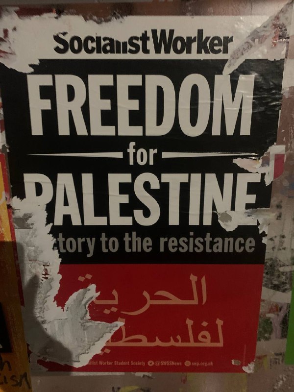 社会主义者支持巴勒斯坦 (Palestine) 的海报