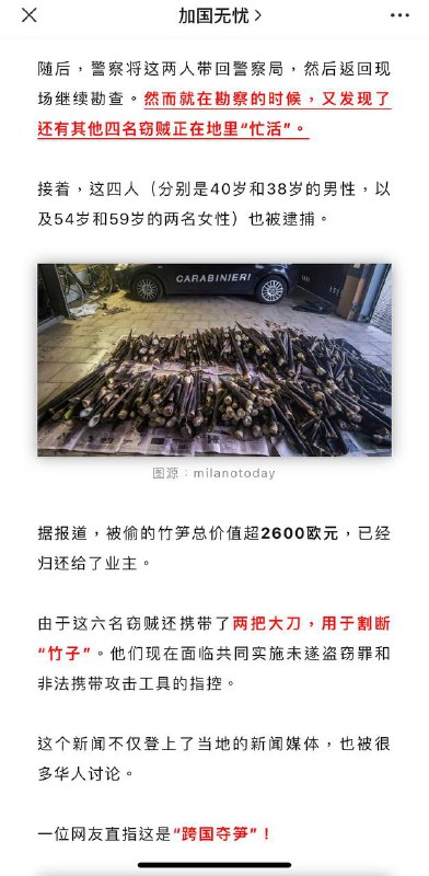 中国大妈，在意大利的花园里面挖呀挖呀挖挖外国的竹笋坐意大利警车🚓中国大妈，在意大利的花园里面挖呀挖呀挖挖外国的竹笋坐意大利警车🚓