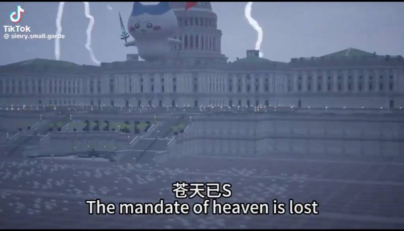 傻逼粉蛆做AI视频还