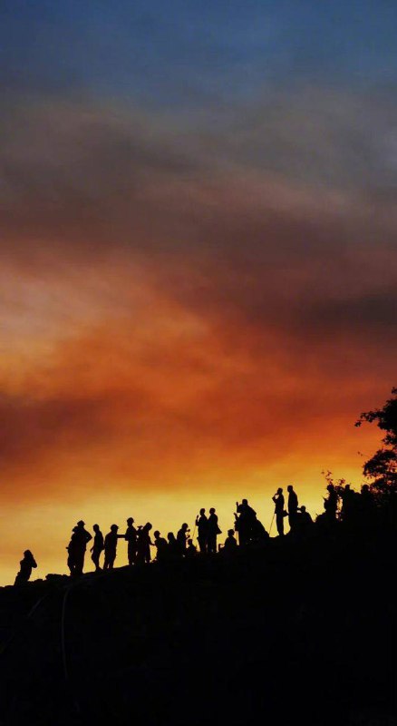 怪奇物语第五季