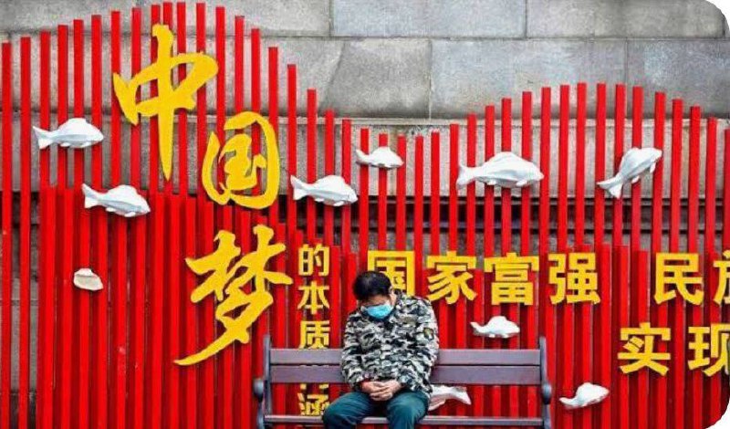 墙国普利策合集4，特别感谢匿名网友投稿