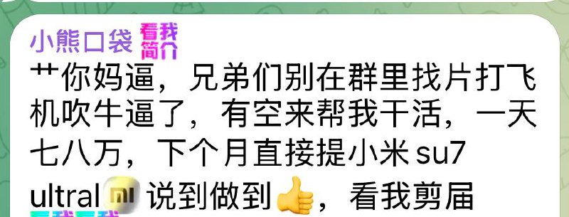 傻逼诈骗犯骂人就算了