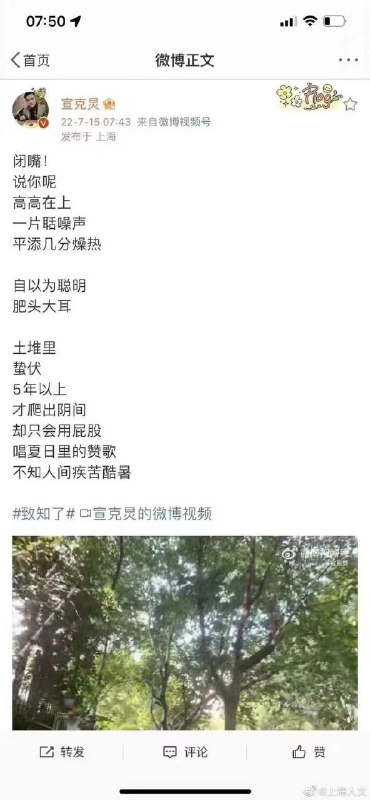 上海记者宣克炅实名冲塔很肥头大耳的新称号，谢谢上海融媒体中心亲自认证，亲自分享😍🐻新称号