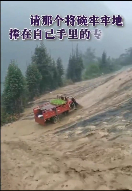 退林还耕，喜迎洪峰