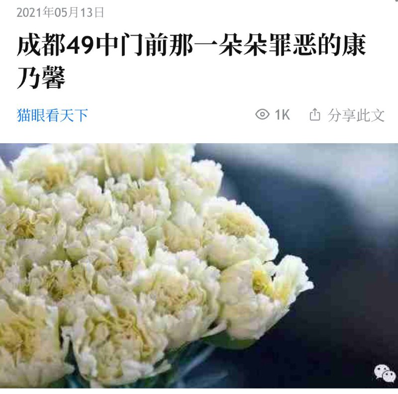 这下不说境外势力了吧，当时附和拿白菊花是境外势力的，有一个算一个都该他们去被砸扁，代替无辜的孩子