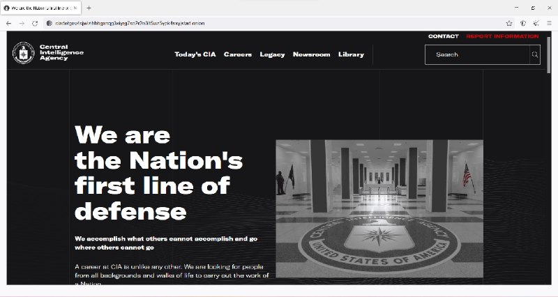 这似乎是一个美国中央情报局（CIA）在 Telegram 上开设的频道，号召俄罗斯人向美国提供所需的信息，并介绍安全匿名联系 CIA 的方法（使用 Tor 浏览器）