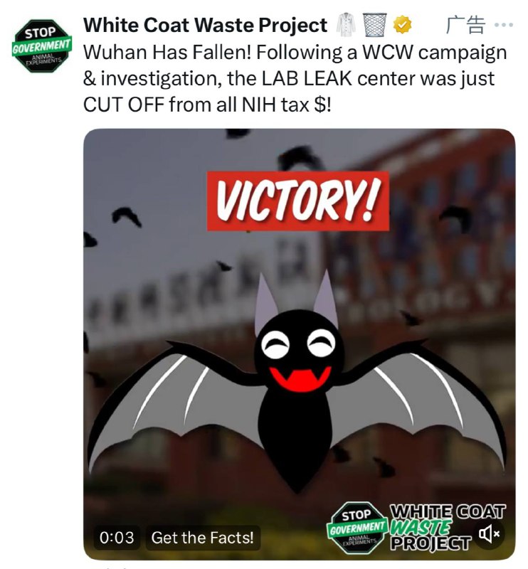 这个动保组织广告疑似有点辱华了