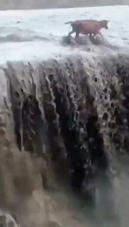 下周牛市预报By