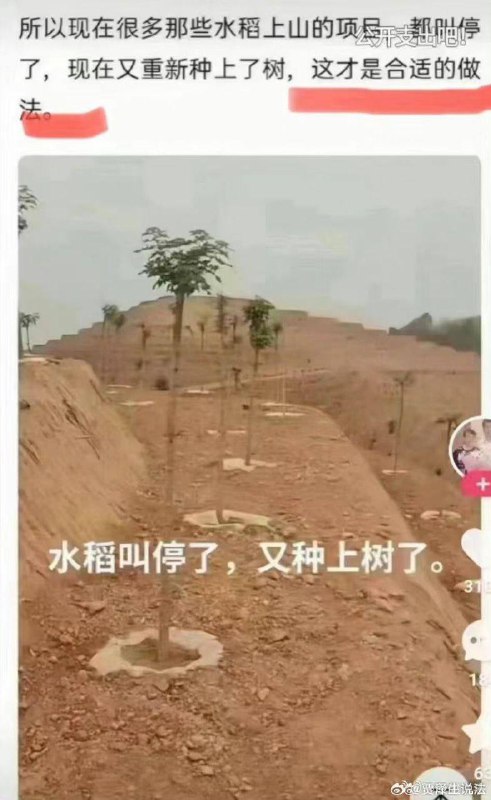 习近平在意的只有自己的龙椅宝座，他治大国如烙煎饼，这一面煎糊了又翻过来煎另一面