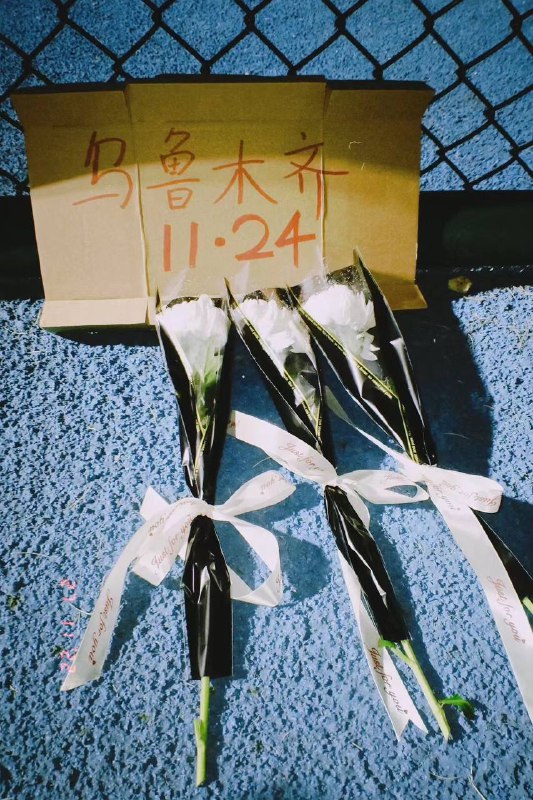 绍兴文理学院投稿By