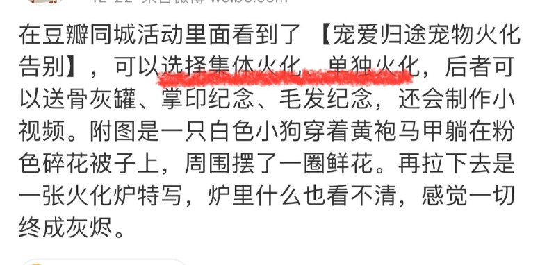 第一次看到單獨火化也能成為底線，搜索了一下，過去有寵物火化時可以選擇集體火化和單獨火化以後窪地需要正部級以上領導幹部才有資格享受單獨火化