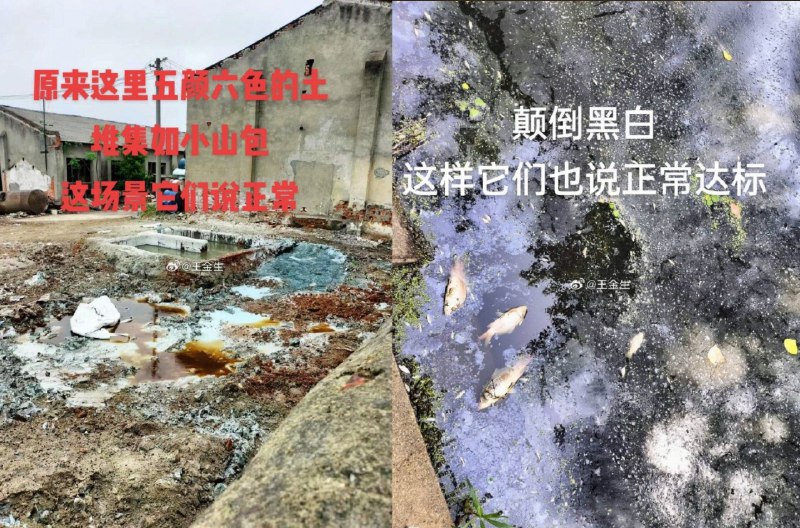 地点